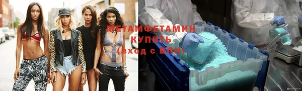 прущие грибы Тавда