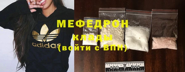 прущие грибы Тавда