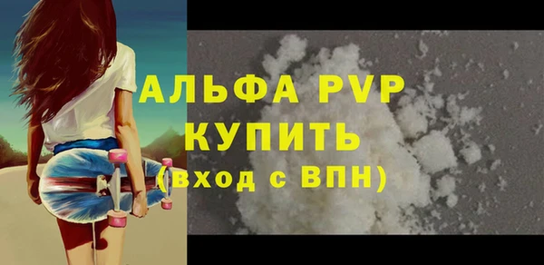 прущие грибы Тавда