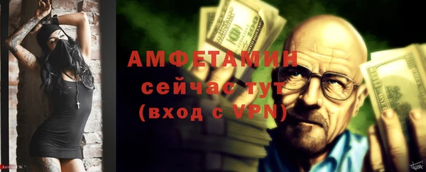 прущие грибы Тавда
