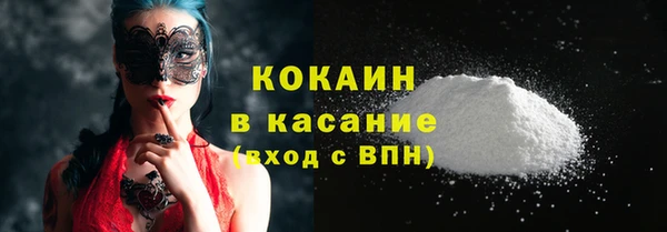 прущие грибы Тавда
