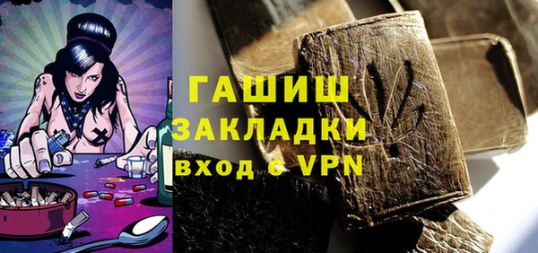 прущие грибы Тавда