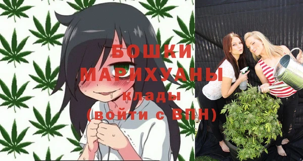 прущие грибы Тавда