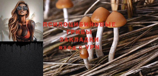 прущий лед Сясьстрой
