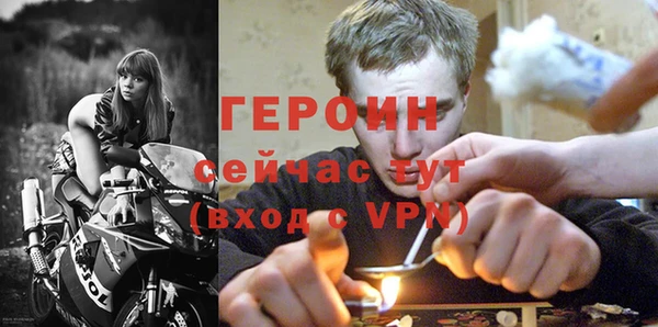 прущие грибы Тавда