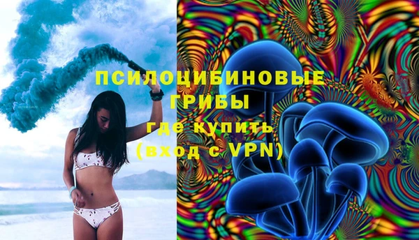прущие грибы Тавда